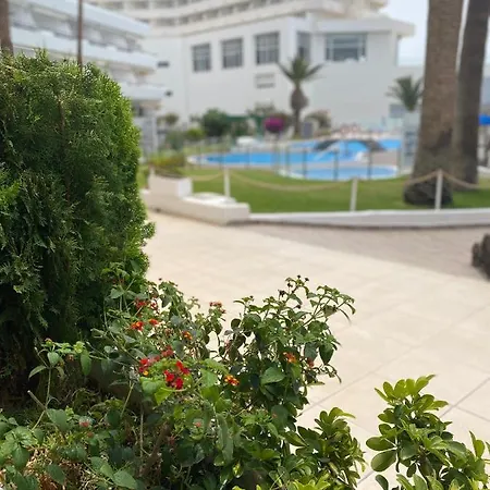 Primera Linea De Mar ! Fantastico Appartement